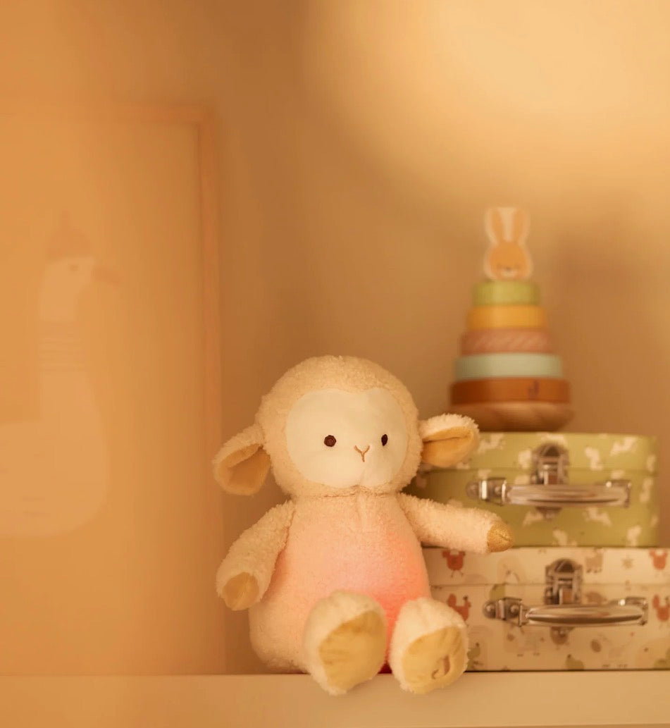 Knuffel met licht en geluid